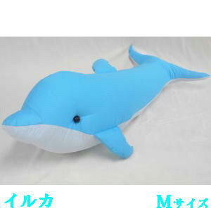 CJM(F)y{zAmFĂȓHVĂӂӂȖ!!ʂ݁A܂AQpAADwA܂Aav