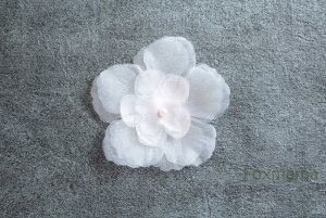 I[KW[`[t 1  p[r[Y T[sNF (MFL953SPWW3D)