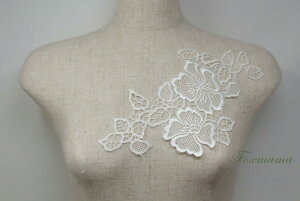 P~J[X`[t 1  ItELi (MFLB41KNSW00)