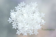 スパンコール 10mm 約100枚(約2.5g) 5枚花びら マット キナリ (SF510MKNWW00)