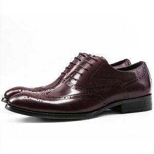 ӍՌ聚36%OFF!yzYrWlXV[Y ECO`bv ItBXV[Y tH[} JWA Mtg VRv S ؐ ʋC j ʋ A ₷ vC a