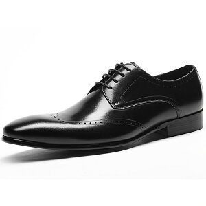 }\聚36%OFF!yzYrWlXV[Y ECO`bv OH ItBXV[Y tH[} JWA C^AVRv S ʋC j ʋΏA ₷ 