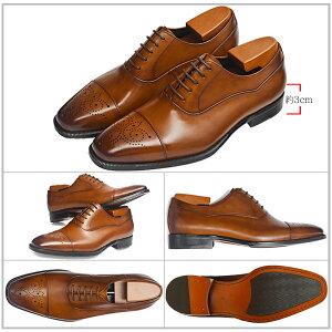 ӍՌ聚44%OFF!yzYvC rWlXV[Y ubN H Xg[g`bv tH[} JWA  Mtg VRv {v S ؐ ʋC j rWl