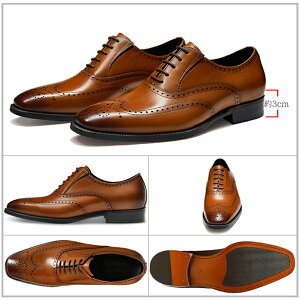 ӍՌ聚44%OFF!yzYvC rWlXV[Y Xg[g`bv H ECO`bv tH[} JWA Mtg VRv{v S ؐ ʋC j rWlX