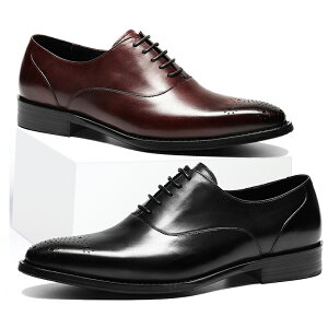 }\聚44%OFF!yzYvC VRv {v S ؐ Ռz ʋC j rWlXV[Y amC v[gD yʖh Ò ItBX d X[c ubN 