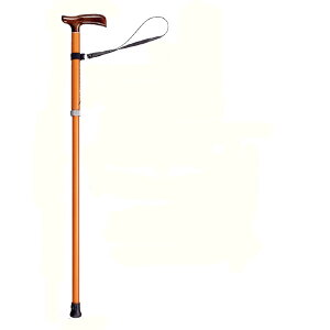 PC STCY MTCY ys֘A  XebL z