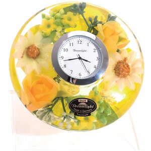 CeA uv h[NbN XvOt[ CDD7241CL CeA Mtg v[g 蕨   O h[Cg Ixs