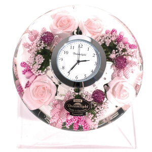 CeA uv h[NbN g[Y CDD7297CL CeA Mtg v[g 蕨   O h[Cg Ixs