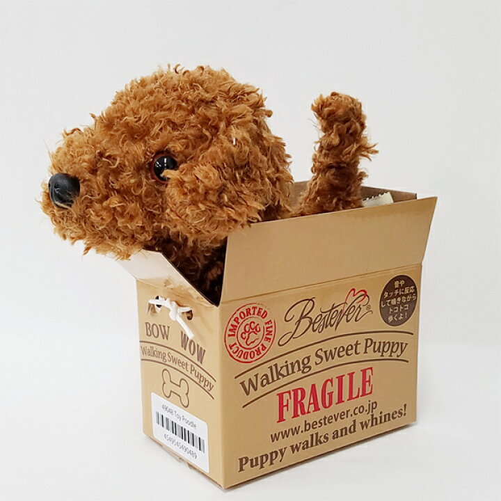 楽天市場 クンクン鳴きながら動くおもちゃ ウォーキングスイートパピー トイプードル トコトコ歩く犬のぬいぐるみ Butler 楽天市場 クンクン鳴きながら動くおもちゃ ウォーキングスイートパピー トイプードル トコトコ歩く犬のぬいぐるみ Butler