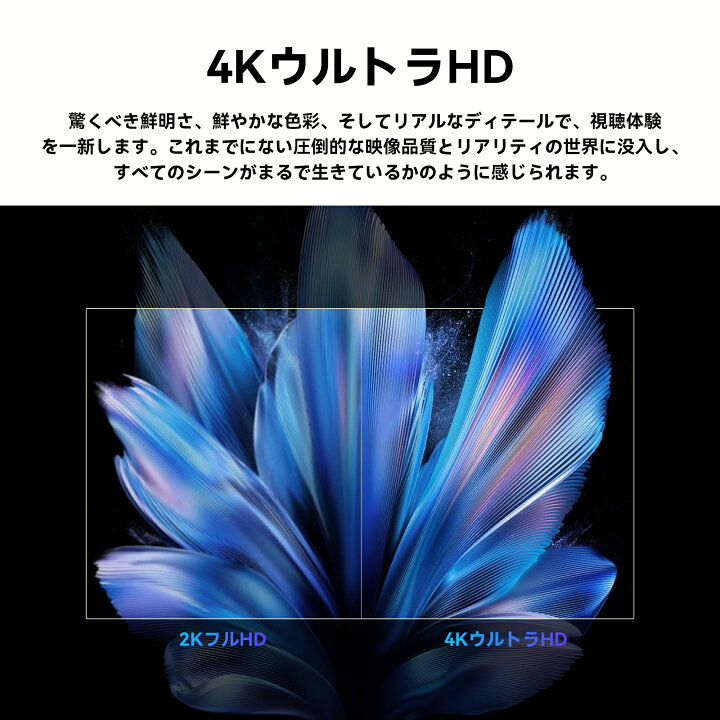 楽天市場】FPD チューナーレステレビ 70V型 4K Google TV ネット動画 