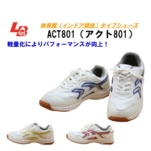 ̈كV[Y 㗚   XN[V[Y j ACT801 ANg801  X|[cV[Y y o[{[ 싅 bV bL[x ZC