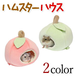 nX^[nEX 2F nX^[ ybg    S ь JCC  킢  iXJ 