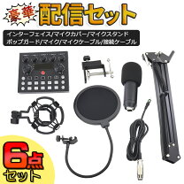 楽天市場】オーディオインターフェイス マイクセットの通販