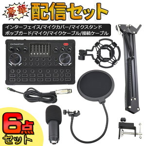  I[fBIC^[tFCX }CN X^h Zbg @\ X}zzM PCzM Bluetoothڑ  XLR}CN {CX`FW[ ʉ zM obe[