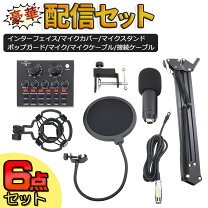 楽天市場】オーディオインターフェイス マイクセットの通販