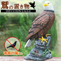 楽天市場】剥製 鷹の通販