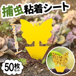  50Zbg ^ ߒV[g Q쏜 K[fjOp hϋv Rh h΍ A |bg 悯 R |p gbv F S ȒPݒu OΉ ی