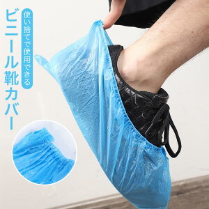  100 ĝ CJo[  |G`f h ~ V[YJo[ D悯 J h~ q  ی qp    a@ H ݌ | ₷ 