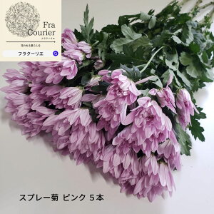 スプレー 菊 生花の人気商品 通販 価格比較 価格 Com