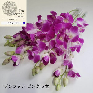 生花 デンファレの人気商品 通販 価格比較 価格 Com 生花 デンファレの人気商品 通販 価格比較 価格 Com