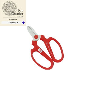 nhNG[V F170 SAKAGEN ⌹ 304-3030-F   Ԏ Ԏ t[ t[AW  ؂ y r^~F