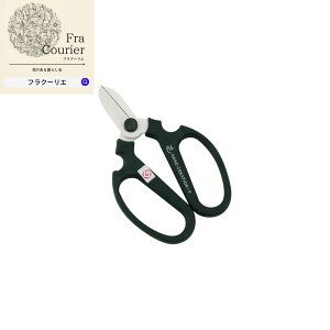 nhNG[V F170 SAKAGEN ⌹ 304-3030-F   Ԏ Ԏ t[ t[AW  ؂ y r^~F