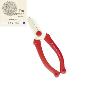 nhNG[V F165 z SAKAGEN ⌹ 304-3054-F   Ԏ Ԏ t[ t[AW u[P  | r^~F