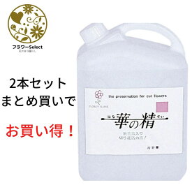 生花水揚げ促進剤 華の精 5L 2個セット 167-2004-0 花 お花 花資材 お花資材 延命剤 切り花栄養剤 開花促進 5％OFF ビタミン