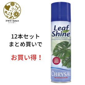 生花水揚げ促進剤 クリザール リーフシャイン 250ml 12個セット 167-3201-0 花 お花 花資材 お花資材 延命剤 切り花栄養剤 開花促進 5％OFF ビタミンF