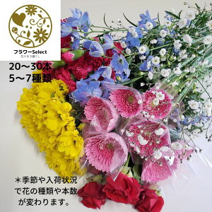 T̐؂ԃZbg C 20`30{ 5`7   VNȋG߂̂Ԃ͂ p MtgΉĂ܂  e͂CɂȂ܂B  t[ t[AW