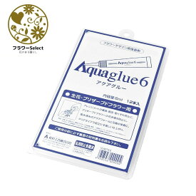 アクアグルー6 6ml 1PK（12コ入り） 10ー4074ー0 花 お花 フラワー フラワーアレンジ 花資材 お花資材 ハンドメイド ビタミンF