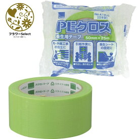PEクロス養生用テープ グリーン 幅50mm×L25m 162-1066-2 文具 事務用品 梱包 包装 引っ越し