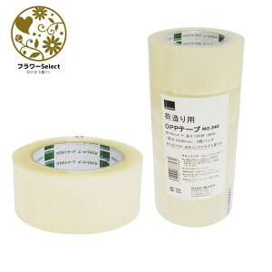 OPPe[v#345 48mm×L100m 1Zbg5 162-1079-0  pi   z x pSe[v