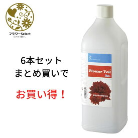 生花水揚げ促進剤 フラワーベールBA+ 2L 6個セット 167-2025-0 花 お花 花資材 お花資材 延命剤 切り花栄養剤 開花促進 5％OFF ビタミン