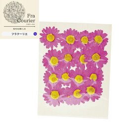 押し花 クリサンセマム ホットピンク 1袋（16輪） 197-2002-2 草花を乾燥させ押し花に加工したものです。 ハンドメイド素材 ハンドメイド デコ電 スマホケース 花 ドライ アクセサリーネイルアート等 ビタミンF