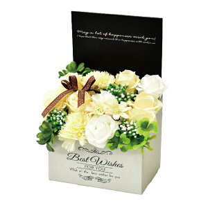 V{t[AW@MK-009@͂Ȃ̂ԁ@  ΌA} V{t[ AWg Mtg v[g CeA ̓ ̓ a wj 