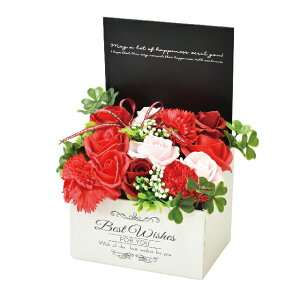 V{t[AW@MK-009@͂Ȃ̂ԁ@  ΌA} V{t[ AWg Mtg v[g CeA ̓ ̓ a wj 