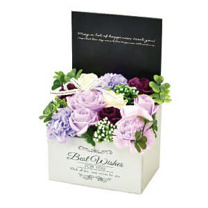 V{t[AW@MK-009@͂Ȃ̂ԁ@  ΌA} V{t[ AWg Mtg v[g CeA ̓ ̓ a wj 