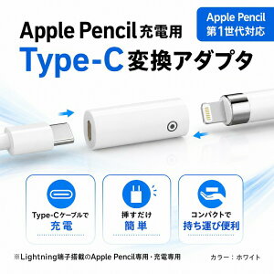 �A�b�v���y���V�� �[�d �A�_�v�^ Apple Pencil ��1���� Type-C �ϊ��A�_�v�^ ���C�g�j���O Lightning �R�l�N�^ �ϊ� �P�[�u�� �y���V�� �[�d�� �R���p�N�g �����^�� �֗� iPad �w�K �d�� �z���C�g