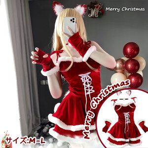 y6_Zbgzp NX}XRXvߑ NX}Xߑ T^ߑ Zbg NX}Xp[eB[ L RX`[ bh xxbg s[X l ZNV[  C