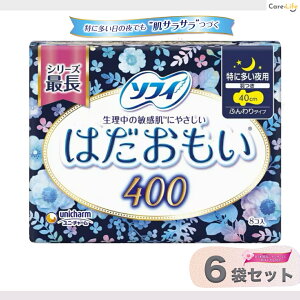\tB ͂ 400 ӂ^Cv ɑp H 40cm 8R×6 [pivL]