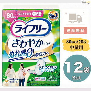 Ct[ ₩pbh ʗp 80cc 20×12 p AR΍ e {