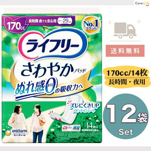 Ct[ ₩pbh 170cc ԁEłSp p ARpbh 14×12 e