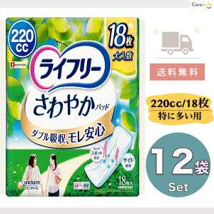 Ct[ ₩pbh p APApbh 220cc zpbh 18×12 e