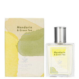 AbJJbp }_O[ eB[ EP SP 100mL tOX l̍ uh C^A  ACCA KAPPA lC  v[g Mtg 蕨 f[g ItBX e 蕨 ؂