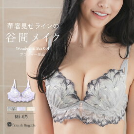 ＼本日全品ポイント5倍／ ブラジャー ブラ レディース 下着 谷間 育乳ブラ 小胸 40代 30代 50代 高校正 脇肉 かわいい セクシー 大きいサイズ 盛れる 単品ブラジャー フランデランジェリー wf001b242d ワンダーリフトブラ001 ブラジャー（ワイヤー有り）