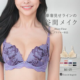 ブラジャー ブラ レディース 下着 谷間 育乳ブラ 小胸 40代 30代 50代 高校正 脇肉 かわいい セクシー 大きいサイズ 盛れる 単品ブラジャー フランデランジェリー fi054b222a シャイニーフルール ブラジャー（ワイヤー有り）