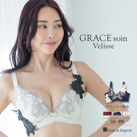 育乳ブラ ブラジャー 小胸 盛れる 谷間 脇肉補正 大きいサイズ ワイヤーあり 30代 40代 50代 レディース 下着 高補正 セクシー グレースソワン ランジェリー gs120