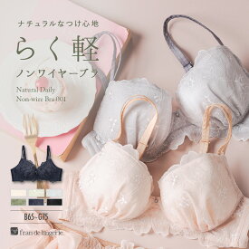 ノンワイヤー ブラジャー ノンワイヤーブラ ノンワイヤーブラジャー 谷間 育乳ブラ 小胸 40代 30代 高校生 ランジェリー かわいい セクシー 単品ブラジャー ndn001b243c ナチュラルデイリーノンワイヤーブラ001