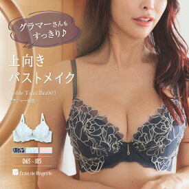 【本日P5倍】 ＼SALE／ ブラジャー ブラ レディース 下着 小胸 40代 30代 50代 高校正 かわいい セクシー 大きいサイズ 単品ブラジャー フランデランジェリー nt003b251d ノーブルティアラブラ003